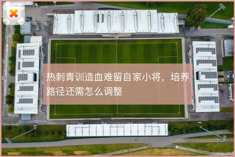 热刺青训造血难留自家小将,培养路径还需怎么调整